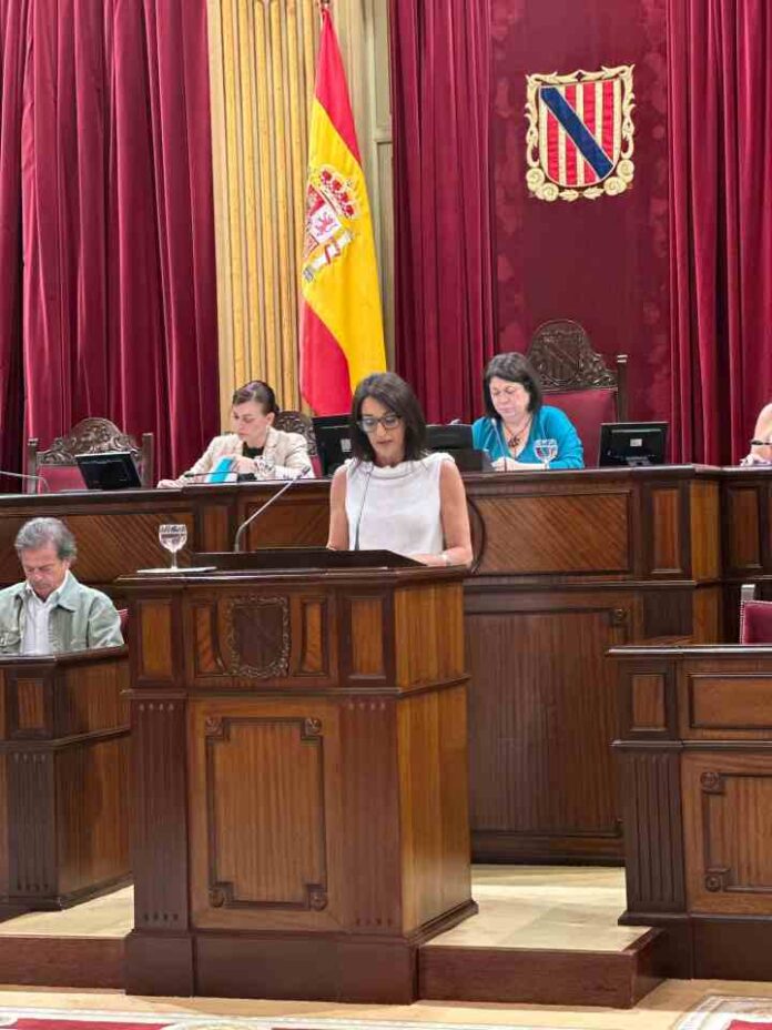 Ana Juan en la comisión de Consells Insulars que se ha celebrado en el Parlament balear