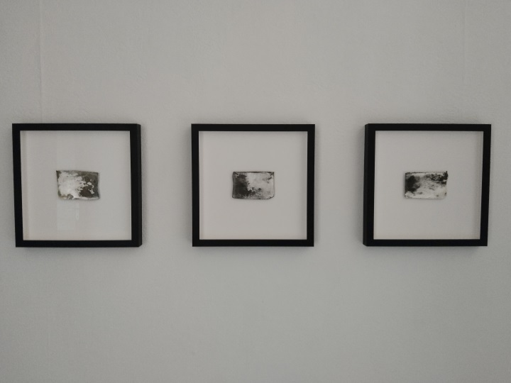 Expo Javier Ens