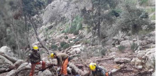 El Consejo de Dirección del FOGAIBA autoriza una ayuda de un millón de euros al IBANAT para seguir reforzando la prevención de incendios forestales