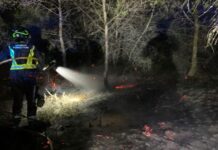 Sofocado un conato de incendio forestal en la zona de es Pujols