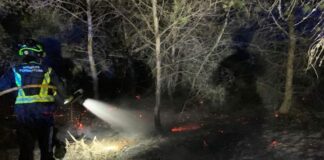 Sofocado un conato de incendio forestal en la zona de es Pujols