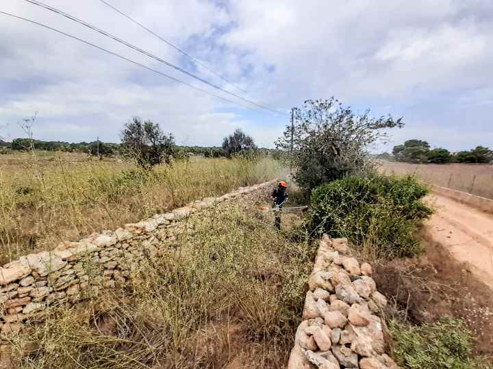 Desbrozado de distintos canales vecinos a caminos