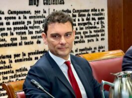 Baleares reclama en el Senado una respuesta específica del Estado ante una presión migratoria sin precedentes