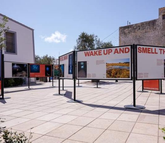Formentera es submergeix en la mar Balear amb l’arribada de l’exposició “Feim un capfico?” de MARE Expo MARE 2026