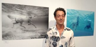 Ricardo Lamin retrata la fuerza de los caballos nadando en aguas de Formentera