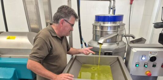 Formentera afronta la primera campaña de elaboración de aceite con una almazara al servicio de los productores de la isla La almazara de Formentera ya se encuentra en pleno funcionamiento