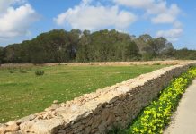 El Consell abre la línea de ayudas al patrimonio cultural de 2021 por un total de 250.000 euros