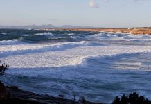 El temporal de viento obliga a cancelar la navegación entre las Pitiüses