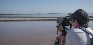 Avistament d’aus a Ses Salines, un lloc amb història i vida, molta vida