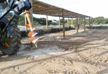 Iniciada la reposició dels umbracles del Parc Natural