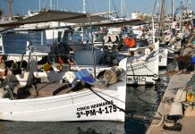 Jornada Informativa sobre Pesca y Reservas Marinas en Formentera
