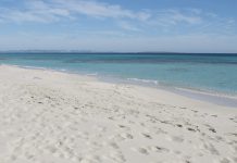 Nova acció per protegir la mar Mediterrània de les prospeccions petrolieres playa Formentera