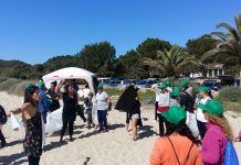 Netejada voluntària de la platja de Migjorn
