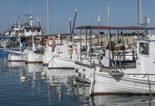 45.000 euros en ayudas a pescadores y ganaderos