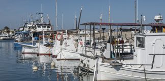 Pesca celebra la primera campaña con el Plan de gestión de pesca artesanal en las Pitiüses por conjugar sostenibilidad y rentabilidad