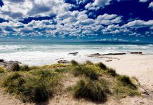 Trobada per netejar la platja de Migjorn