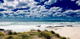 Trobada per netejar la platja de Migjorn