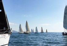 Los participantes de la XIV regata Ophiusa se sumarán al Save Posidonia Project