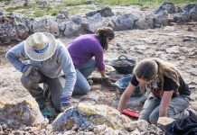 Finaliza la cuarta etapa de restauración des cap de Barbaria II