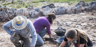 Finaliza la cuarta etapa de restauración des cap de Barbaria II