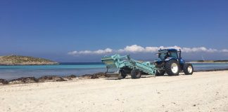 La política de retirada de posidonia en las playas de Baleares sirve de ejemplo de buenas prácticas en otras regiones mediterráneas