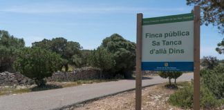 Abaqua cedeix l’ús de sa tanca d’Allà Dins al Consell de Formentera