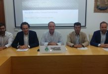 Formentera comptarà amb el tercer cable elèctric abans de l’any 2020