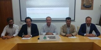 Formentera comptarà amb el tercer cable elèctric abans de l’any 2020