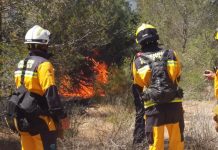 Medios aéreos y terrestres para sofocar el incendio forestal en Cala Saona