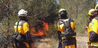 Medios aéreos y terrestres para sofocar el incendio forestal en Cala Saona