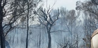 IBANAT confirma que s’han cremat 14 hectàrees a Es Cap de Barbaria