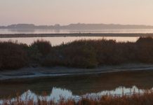 Formentera celebra la Semana del Medio Ambiente con visitas guiadas, limpiezas del litoral y del fondo marino y talleres infantiles