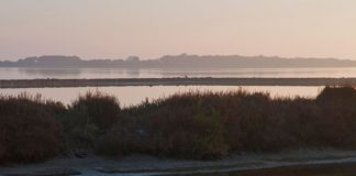 Formentera celebra la Semana del Medio Ambiente con visitas guiadas, limpiezas del litoral y del fondo marino y talleres infantiles