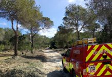 Acabada l’obertura d’una faixa forestal as Ram de la Mola