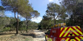 Acabada l’obertura d’una faixa forestal as Ram de la Mola