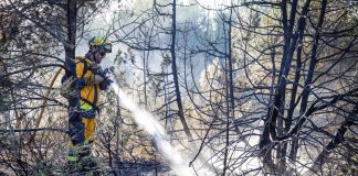 FOTOS INCENDI ES CAP DE BARBARIA