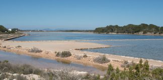 Sancionados con 8.000 euros por practicar esquí acuático en los estanques de las salinas de Formentera en 2019