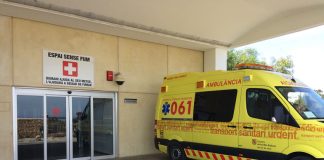 Evoluciona favorablement l’al·lota atropellada a Formentera