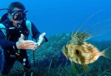 Submarinisme per a residents