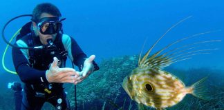 Submarinisme per a residents