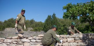 Nuevas subvenciones para la rehabilitación de paredes de piedra, soterramiento de líneas y restauración del patrimonio