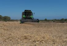 El Consell refuerza el apoyo al desarrollo rural y pesquero con una subvención de 24.000 euros al Grupo de Acción Local de Eivissa y Formentera segadora