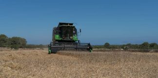 El Consell refuerza el apoyo al desarrollo rural y pesquero con una subvención de 24.000 euros al Grupo de Acción Local de Eivissa y Formentera segadora