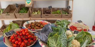 Formentera destina más de 312.000 euros en subvenciones a la promoción y producción de productos alimenticios locales Km0