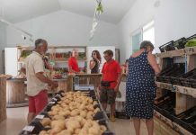 El Mercat Pagès de Formentera sigue creciendo y renueva su imagen