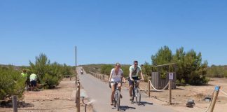 Dilluns es posa en marxa la restricció de vehicles al far des Cap