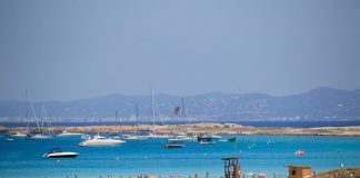 Se incrementa la vigilancia para evitar fondeos sobre posidonia