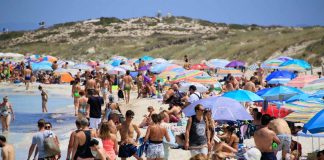 La plataforma Formentera Importa pide acciones efectivas para la protección del territorio y de las praderas de posidonia turistas Illetes