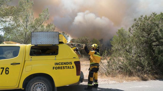 Incendio forestal