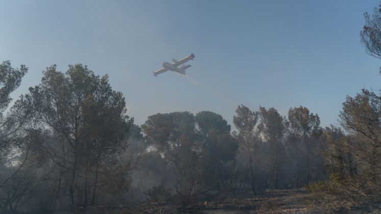 Hidro avi&oacute;n